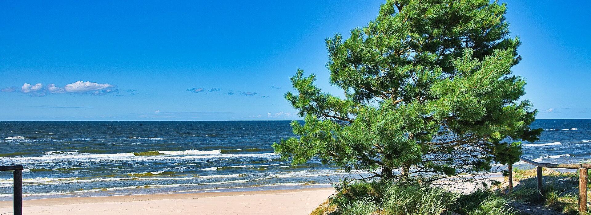 Отдых в Польше из Германии ☀️ Бронируйте сейчас