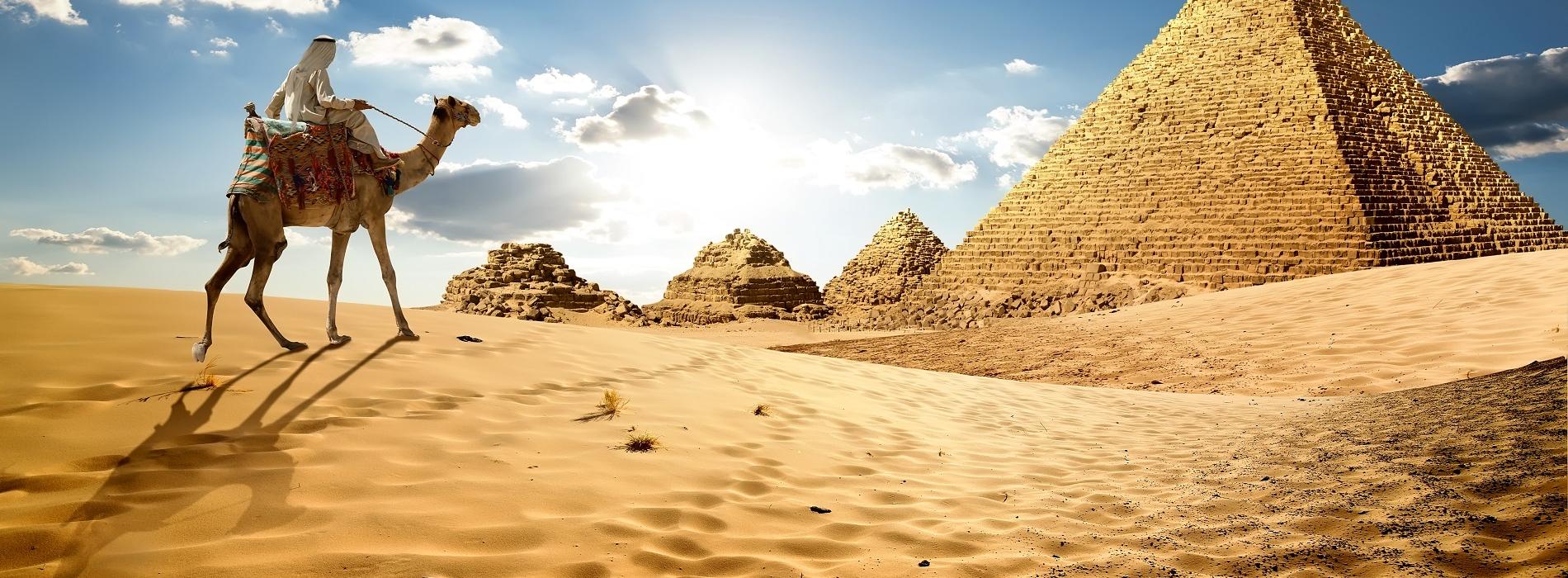 Afrika Aegypten Pyramiden Kamel