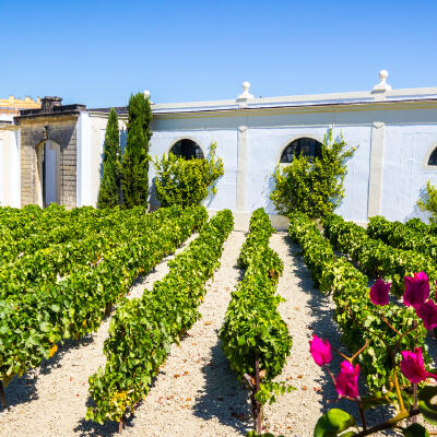 Jerez De La Frontera, Andalusien, Spanisches Festland, Spanien, Europa