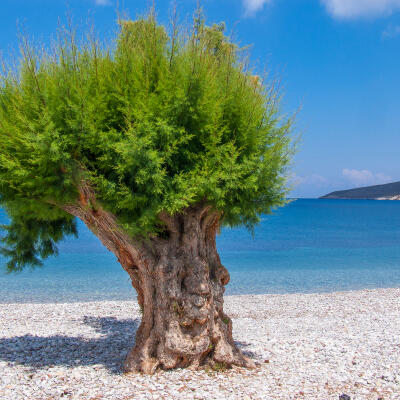 Tilos, Dodekanes, Griechische Inseln, Griechenland, Europa